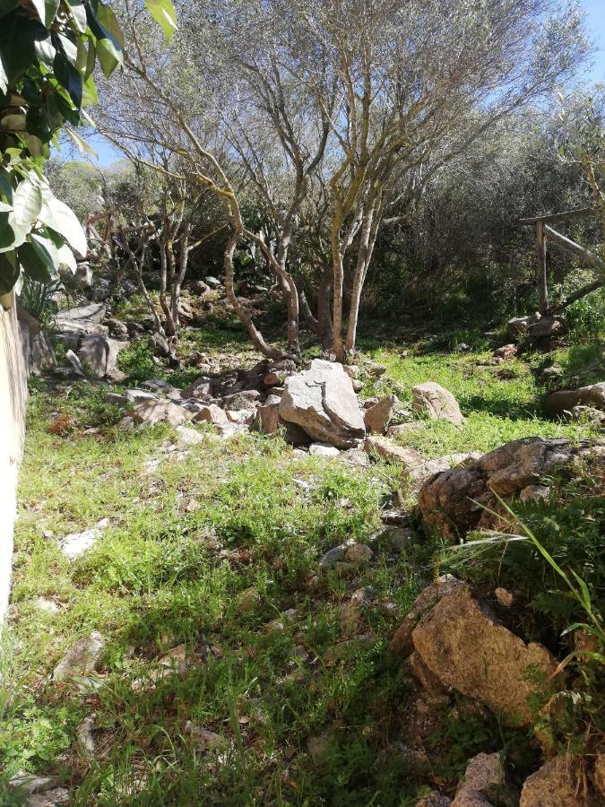 Oasiglo Leilighet La Maddalena  Eksteriør bilde